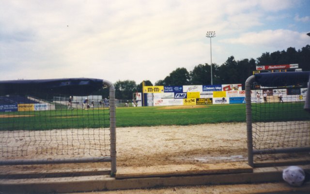 dugoutview.jpg